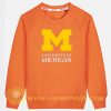 University of Michigan Sweatshirt