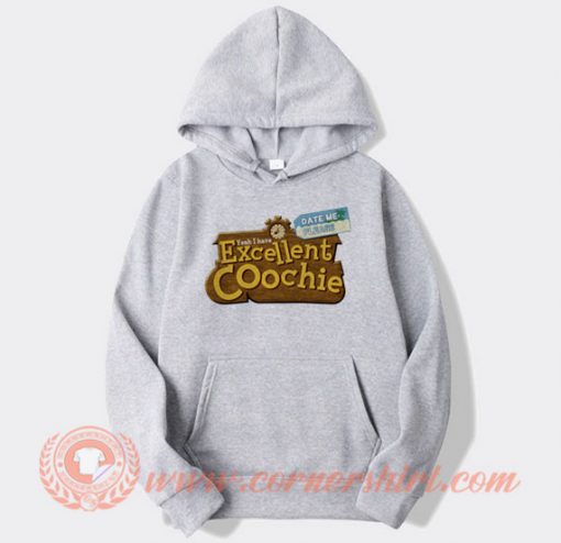 Yeah I Have Excellent Coochie Hoodie On Sale