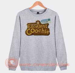 Yeah I Have Excellent Coochie Sweatshirt On Sale