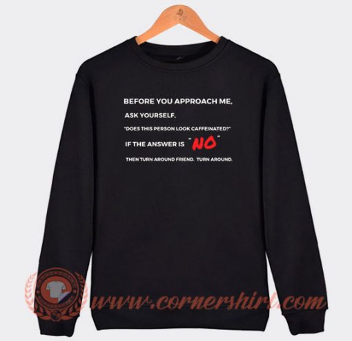 Before You Approach Me Ask Yourself Sweatshirt On Sale