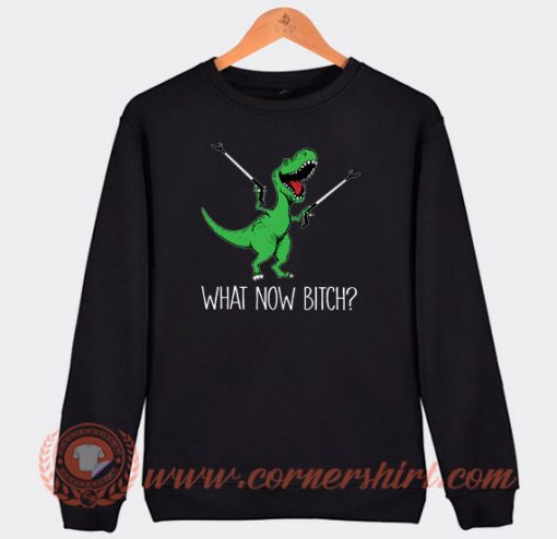 T-Rex-Dinosaur-What-Now-Bitch-Sweatshirt-On-Sale