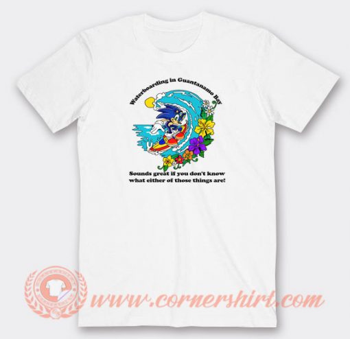 Sonic-Waterboarding-In-Guantanamo-Bay-T-shirt-On-Sale