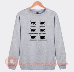 Chonk-Cat-Chart-Sweatshirt-On-Sale