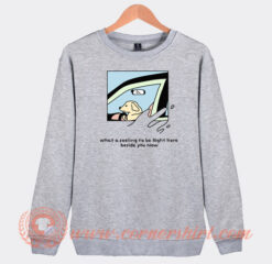 Dog-Driver-What-a-Feeling-To-Be-Right-Here-Sweatshirt-On-Sale