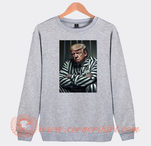 Donald Trump Is In Prison Sweatshirt On Sale