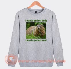 I Want Perfect Body I Want Perfect Soul Sweatshirt On Sale