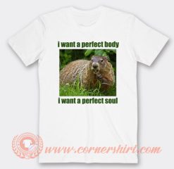 I Want Perfect Body I Want Perfect Soul T-Shirt On Sale