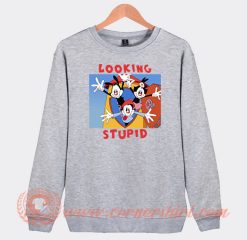 Looking Stupid Animaniacs Sweatshirt On Sale