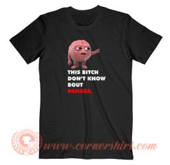 Lil Dicky Brain This Bitch Don't Know Bout Pangea T-Shirt On Sale
