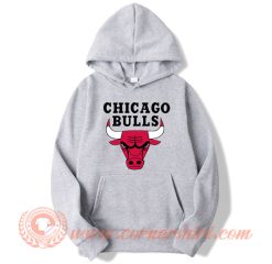 Chicago Bulls Logo Hoodie On Sale