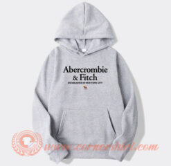 Abercrombie And Fitch Hoodie On Sale